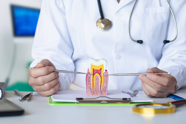 Best Emergency Root Canal Treatment in Rouses Point, NY